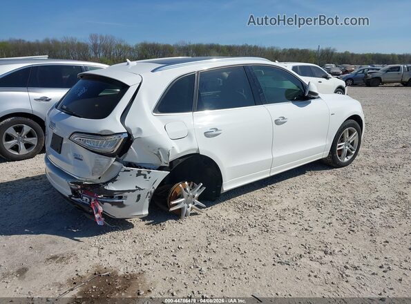 WA1D7AFP1GA033675 2016 AUDI Q5 White Հետևի աջ