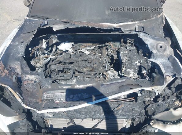 WA1DECF37P1112637 2023 AUDI Q3 White Вид ззаду
