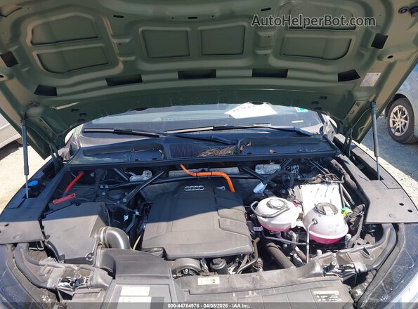 WA1G2AFY3R2145086 2024 AUDI Q5 Green Rear view