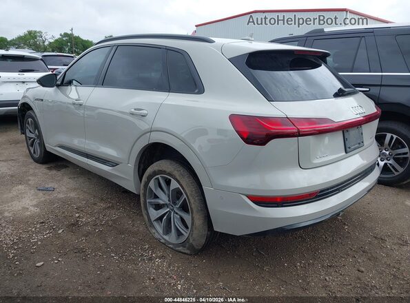 WA1LAAGE4MB004560 2021 AUDI E-TRON Бежевый Задняя левая четверть
