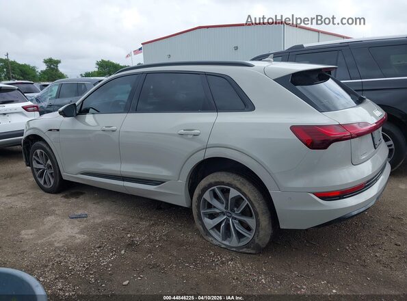 WA1LAAGE4MB004560 2021 AUDI E-TRON Бежевый 