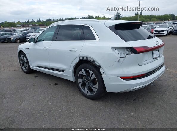 WA1LABGE1PB024467 2023 AUDI E-TRON White Tył lewy