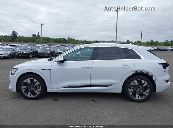 WA1LABGE1PB024467 2023 AUDI E-TRON White 