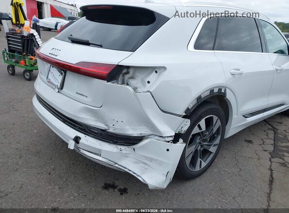 WA1LABGE1PB024467 2023 AUDI E-TRON White Widok z przodu