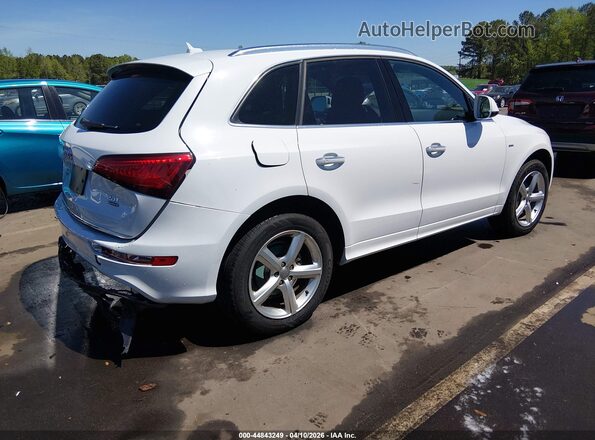 WA1M2AFP4HA090503 2017 AUDI Q5 White Trasero derecho