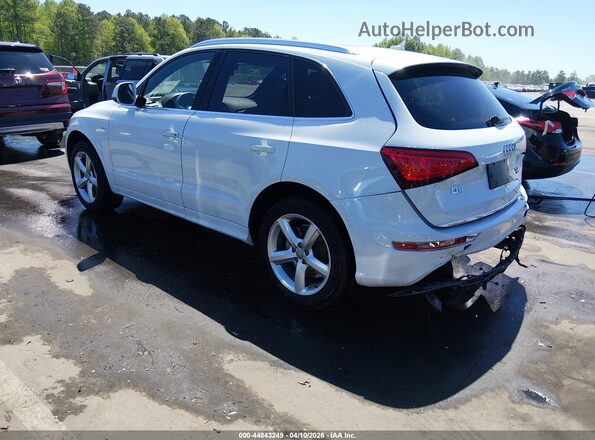 WA1M2AFP4HA090503 2017 AUDI Q5 White Trasero izquierdo