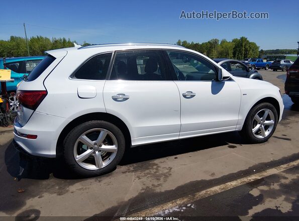 WA1M2AFP4HA090503 2017 AUDI Q5 White Vista interior trasera