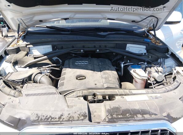 WA1M2AFP4HA090503 2017 AUDI Q5 White Vista trasera
