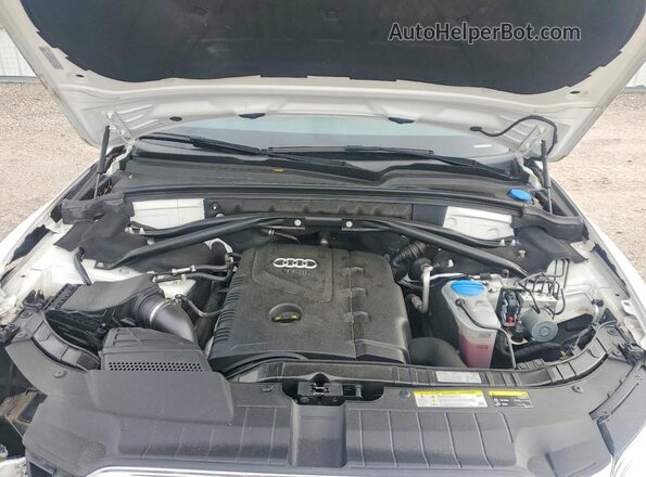 WA1M2AFP8HA076538 2017 AUDI Q5 White Vista del compartimento del motor