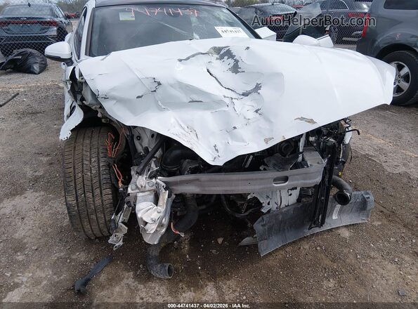 WAUABCF56MA040003 2021 AUDI OTHER White Դիմացի տեսք