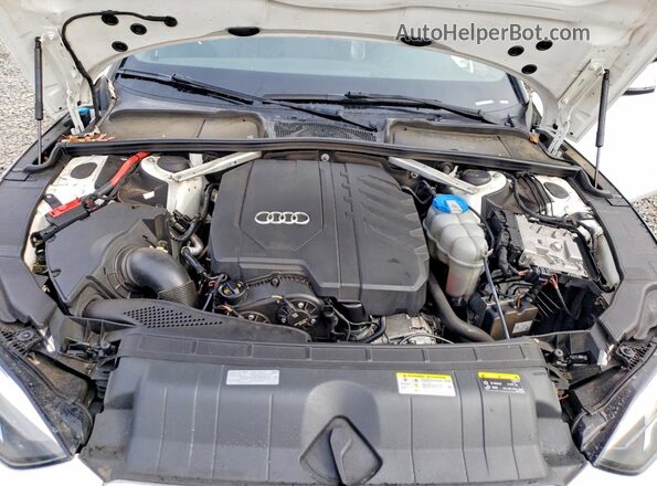 WAUDACF56MA016610 2021 AUDI OTHER Белый Вид задней части салона