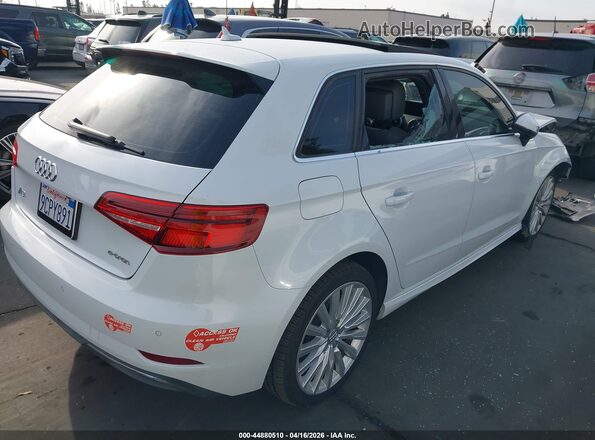 WAUTPBFF7HA146687 2017 AUDI OTHER Белый 