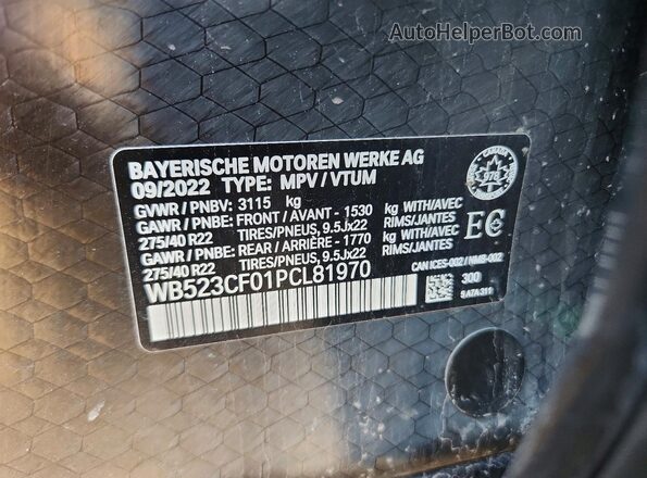 WB523CF01PCL81970 2023 BMW IX White 