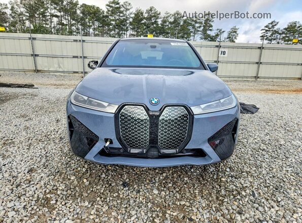 WB523CF09RCN79618 2024 BMW IX Blue Դիմացի տեսք