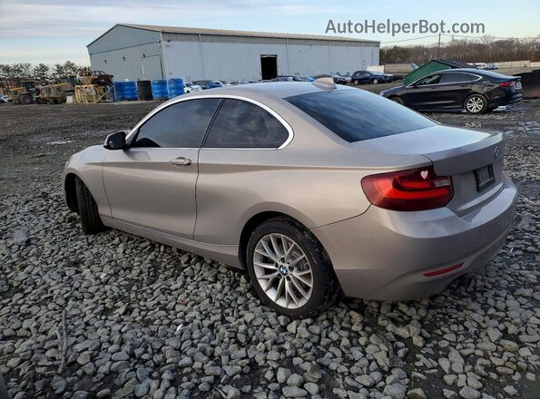 WBA1F9C53GV544839 2016 BMW 2 SERIES Gold უკანა მარცხენა