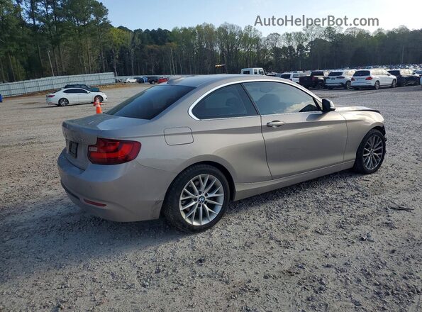 WBA1G9C53GV599062 2016 BMW 2 SERIES Gray Trasero derecho