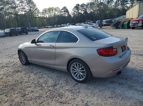 WBA1G9C53GV599062 2016 BMW 2 SERIES Gray Trasero izquierdo