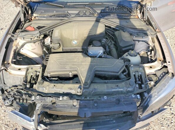 WBA1G9C53GV599062 2016 BMW 2 SERIES Gray Vista interior trasera