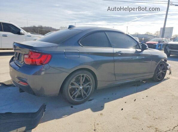 WBA1J7C57GV359602 2016 BMW M2 Gray Հետևի աջ