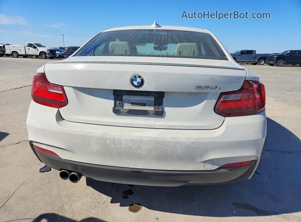 WBA2F9C58HV635806 2017 BMW 2 SERIES White უკანა ხედი