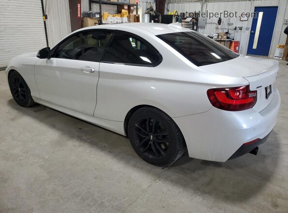 WBA2G3C59HV640796 2017 BMW M2 White Trasero izquierdo