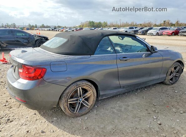WBA2K9C33HV950443 2017 BMW 2 SERIES Gray Trasero derecho