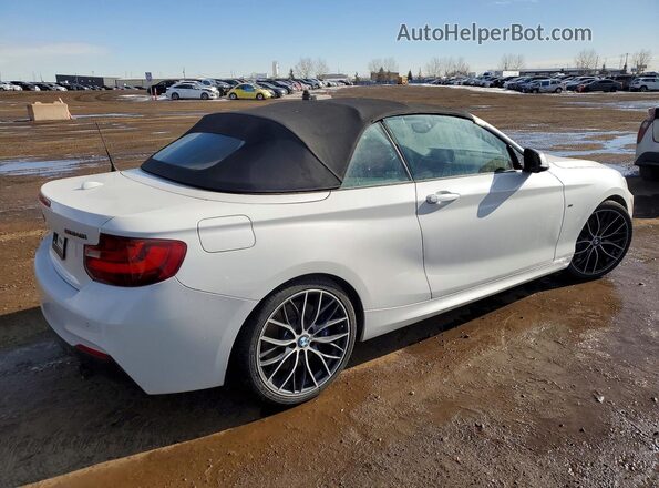 WBA2L3C33HV667597 2017 BMW M2 White Tył prawy