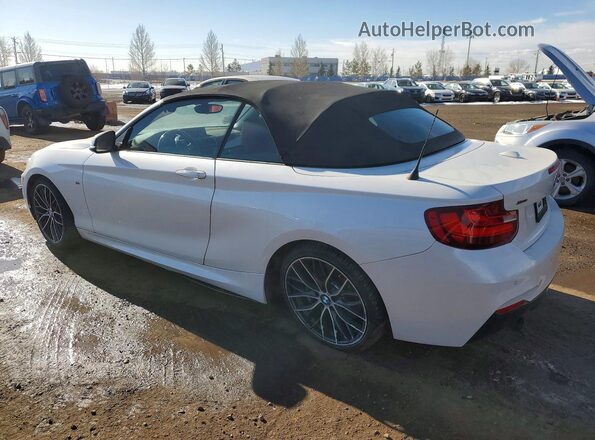 WBA2L3C33HV667597 2017 BMW M2 White Tył lewy