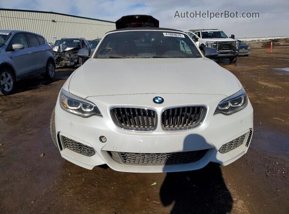WBA2L3C33HV667597 2017 BMW M2 White Widok z przodu