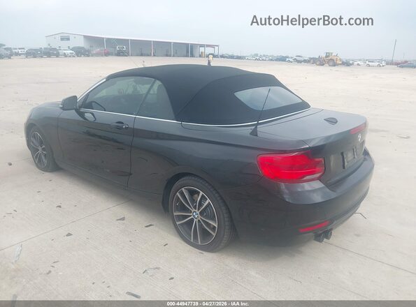 WBA2M7C53K7D14717 2019 BMW 2 SERIES Black უკანა მარცხენა