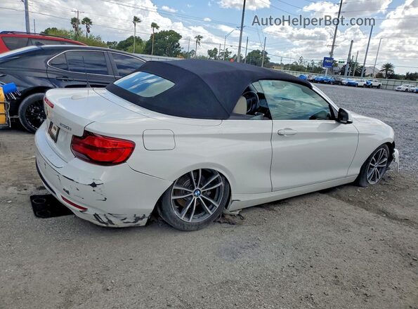 WBA2M7C58K7D14826 2019 BMW 2 SERIES White Задня права чверть