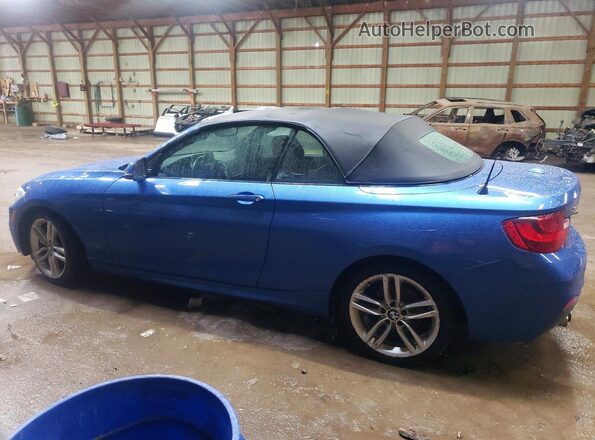 WBA2M9C58HV717458 2017 BMW 2 SERIES Blue Հետևի ձախ