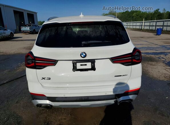 WBX47DP05RN259337 2024 BMW X3 White Հետևի տեսք