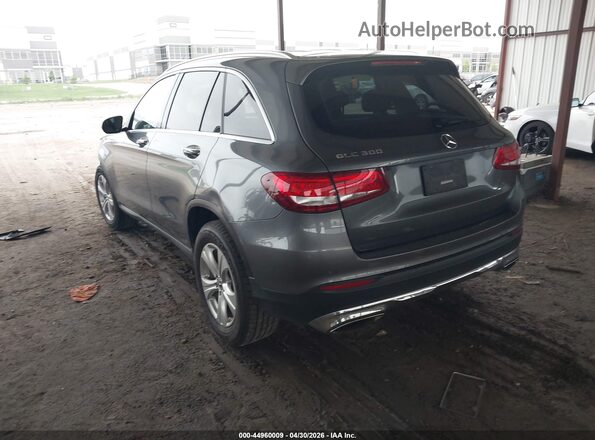 WDC0G4JB2HF249308 2017 MERCEDES-BENZ GLC 300 Gray Rear left