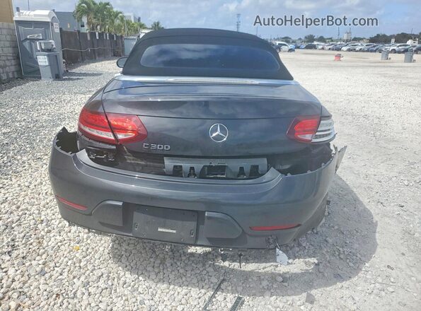 WDDWK8DB9KF851038 2019 MERCEDES-BENZ C Gray Вид ззаду