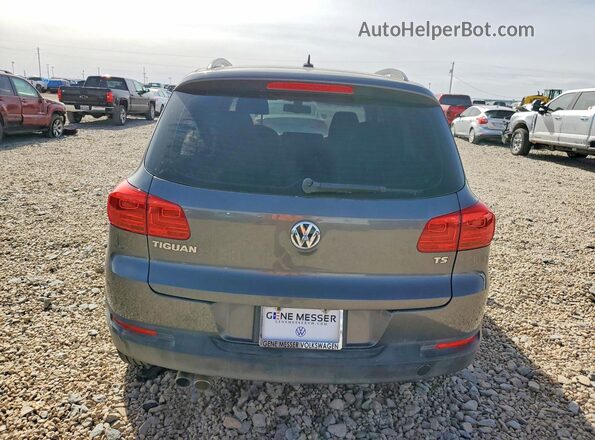 WVGAV7AXXGW514144 2016 VOLKSWAGEN TIGUAN Серый Вид сзади