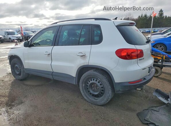 WVGJV7AX4GW013007 2016 VOLKSWAGEN TIGUAN White Trasero izquierdo