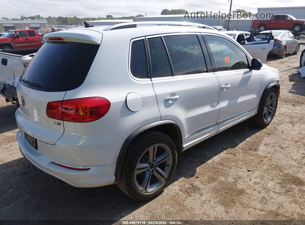 WVGTV7AX0HW506077 2017 VOLKSWAGEN TIGUAN White Tył prawy
