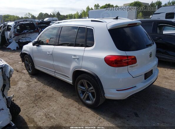 WVGTV7AX0HW506077 2017 VOLKSWAGEN TIGUAN White Tył lewy