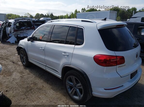 WVGTV7AX0HW506077 2017 VOLKSWAGEN TIGUAN White 