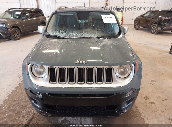 ZACCJBDB9HPF23654 2017 JEEP RENEGADE Gray Вид щитка приладів