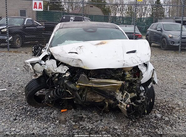 ZACNDFBN8P3A00992 2023 DODGE OTHER Белый Вид спереди