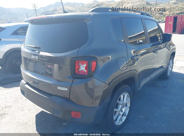 ZACNJABB3LPL40861 2020 JEEP RENEGADE Gray 