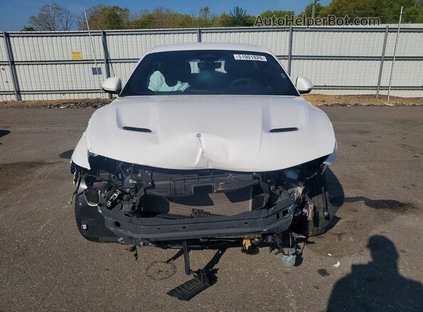 ZACPDFCW4R3A28405 2024 DODGE OTHER White Դիմացի տեսք