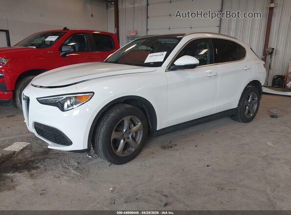 ZASPAKAN3M7D02677 2021 ALFA ROMEO STELVIO Белый 