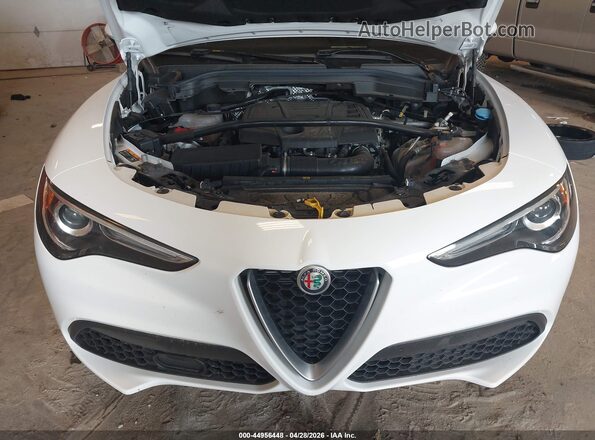 ZASPAKAN3M7D02677 2021 ALFA ROMEO STELVIO Белый 