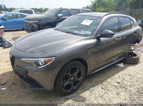ZASPAKBN0P7D54481 2023 ALFA ROMEO STELVIO Gray 