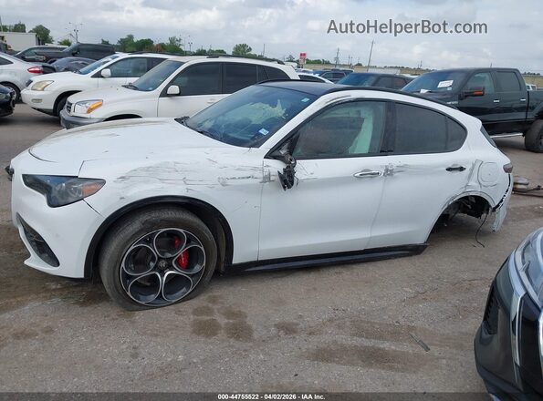 ZASPAKBN4R7D74204 2024 ALFA ROMEO STELVIO Белый 