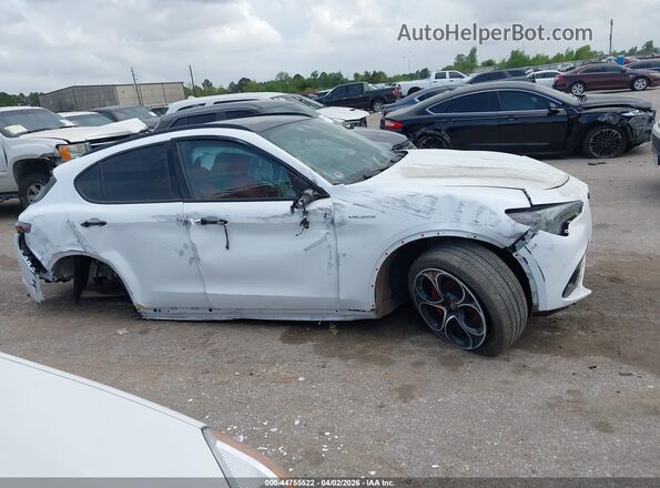 ZASPAKBN4R7D74204 2024 ALFA ROMEO STELVIO Белый Панорамный вид салона 360°