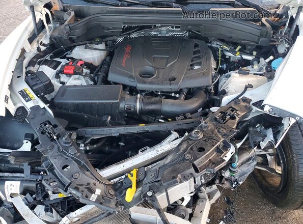 ZASPAKBN4R7D74560 2024 ALFA ROMEO STELVIO White Widok wnętrza z tyłu
